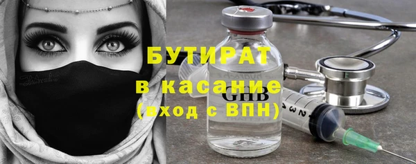шишки Надым