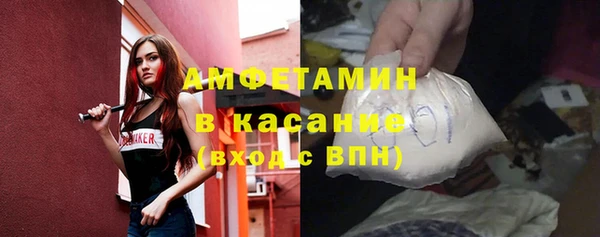 шишки Надым
