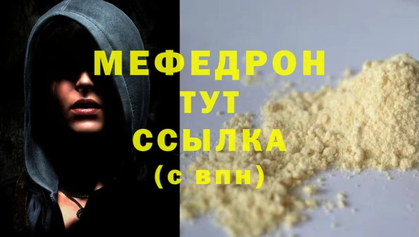 шишки Надым