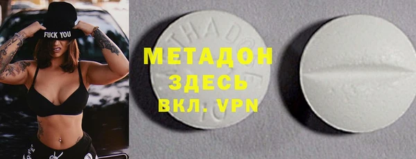 шишки Надым