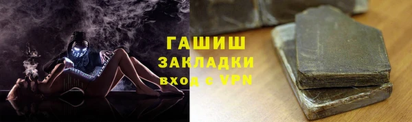 шишки Надым