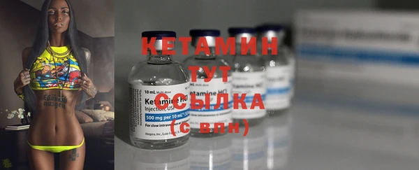 шишки Надым
