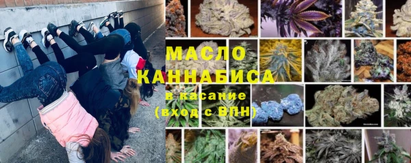 шишки Надым