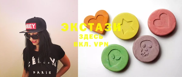 шишки Надым
