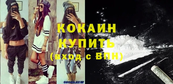 шишки Анива