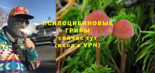 сатива Наволоки