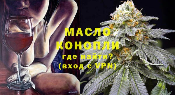шишки Надым