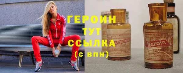 шишки Надым