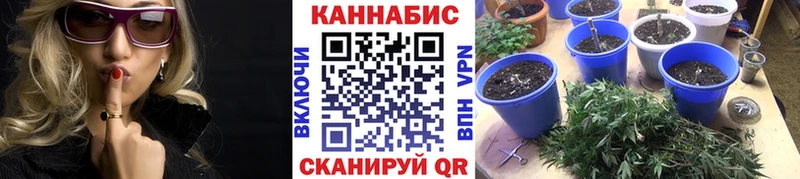 купить наркотики цена  Каневская  Бошки Шишки VHQ 